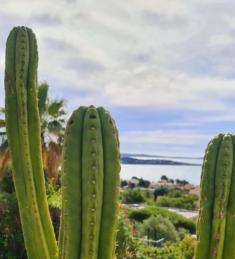 Magnifique Appartement Vue Mer - Grande Terrasse Et Piscine Bandol Luaran gambar